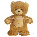 soft toy teddy bear souvenir